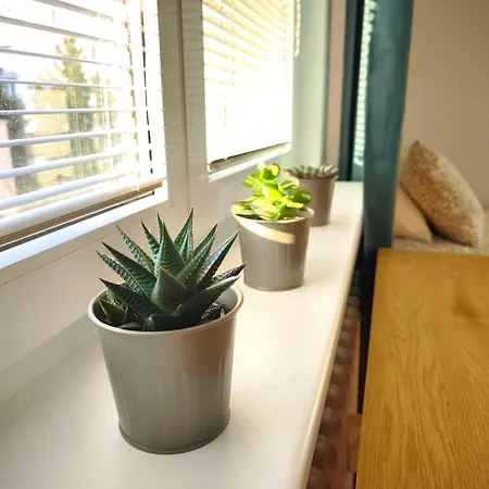 Free Parking, Ac & Self Checkin - Lucky 7 - 2 Bdr Relax & Harmony - Near Stadiums & Center *